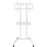 Опция к телевизору Cactus CS-ST04WT
