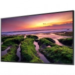 LED / LCD панель Samsung LH43QBBEBGCXCI (43 ")