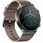 Huawei Watch GT2 Watch GT2 Pro Classic Nebula Gray