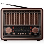 Аксессуары для смартфона Ritmix Радиоприёмник RPR-089 Redwood