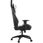 Компьютерный стул Gamdias Игровое кресло ACHILLES E2 Black/White ACHILLES E2 L BW