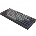 Клавиатура Dark Project KD83A Black Grey KB-GCT-871-100004 (Проводная, USB)