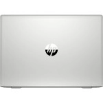 Ноутбук HP ProBook 455 G7 1L3U0EA (15.6 ", FHD 1920x1080 (16:9), Ryzen 3, 8 Гб, SSD)
