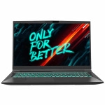 Ноутбук Maibenben X668 X668QSJELBRE0 (17.3 ", WQHD 2560x1440 (16:9), Core i7, 8 Гб, SSD)