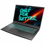 Ноутбук Maibenben X668 X668QSJELBRE0 (17.3 ", WQHD 2560x1440 (16:9), Core i7, 8 Гб, SSD)