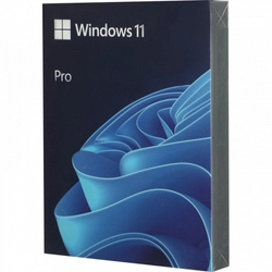 Операционная система Microsoft Windows Pro 11 64-bit English USB HAV-00162 (Windows 11)