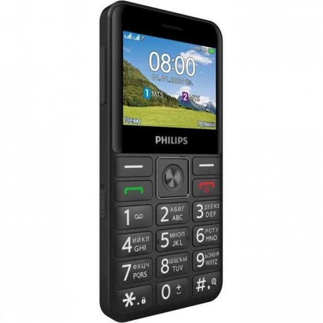 Мобильный телефон Philips Xenium E207 black 867000174127