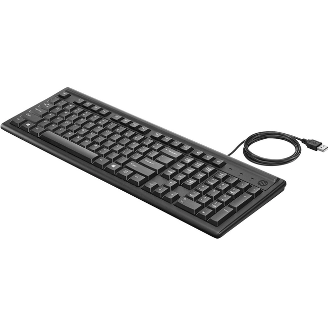 Клавиатура HP 100 2UN30AA (Проводная, USB)