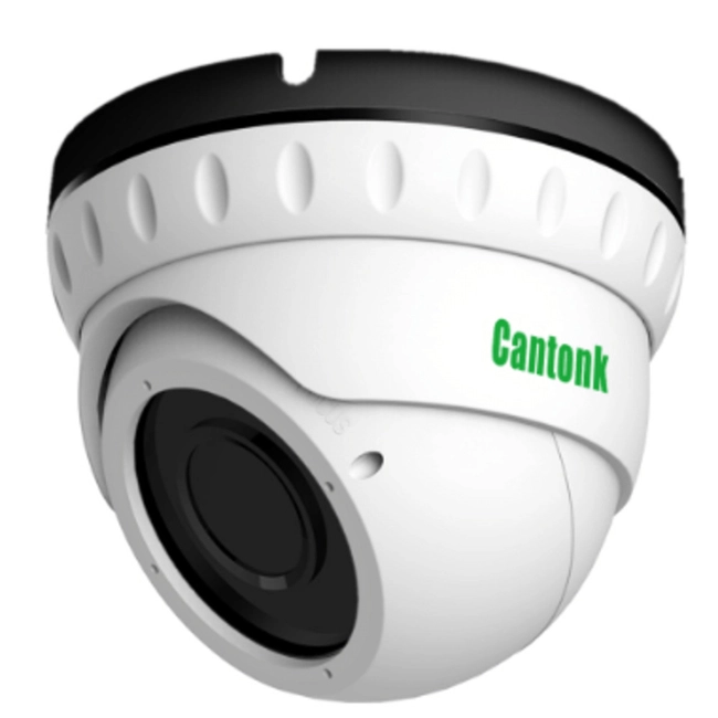 IP видеокамера Cantonk IPSL20HF200 (Купольная, Внутренней установки, Проводная, Фиксированный объектив, 3.6 мм, CMOS, 2 Мп ~ 1920×1080 Full HD)