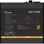 Блок питания Ocypus Iota P1200 1200W Black Iota-P1200-G1FFBK024X-EU (1200 Вт)