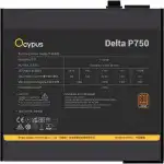 Блок питания Ocypus Delta P750 750W Black Delta-P750-B1FDBK024X-EU (750 Вт)