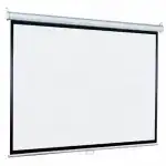Экран Lumien Eco Picture LEP-100109