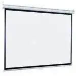 Экран Lumien Eco Picture LEP-100111