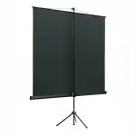 Экран Lumien Eco View LEV-100104