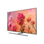 Телевизор Samsung QE65Q9FNAUX QE65Q9FNAUXRU