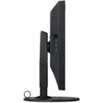 Монитор Eizo ColorEdge CG319X-BK (31.1 ", IPS, 4096x2160 (256:135), 60 Гц)