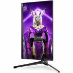 Монитор AOC AGON AG254FG (24.5 ", IPS, FHD 1920x1080 (16:9), 360 Гц)