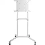 Опция к телевизору Cactus CS-ST1146WT