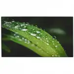LED / LCD панель Dahua DHI-LS550UEM-UG