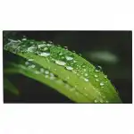 LED / LCD панель Dahua DHI-LS490UCM-UF (49 ")
