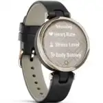 Garmin Lily Classic Black 010-02384-B1