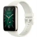 Xiaomi Smart Band 7 Pro BHR6076GL