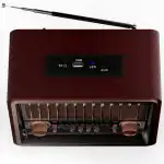 Аксессуары для смартфона Ritmix Радиоприёмник RPR-089 Redwood