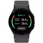 Samsung Galaxy Watch FE Black SM-R861NZKACIS