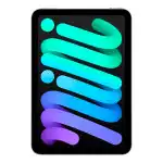 Планшет Apple iPad mini Wi-Fi + Cellular 128GB Space Grey MXPN3QA/A (128 Гб, 8 Гб)
