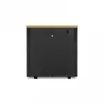 Серверный шкаф NetShelter CX Mini (AR4000MV)