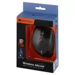 Мышь Canyon MW-01 CNS-CMSW01B