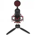 Микрофон Ritmix RDM-230 USB Eloquence