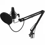Микрофон Ritmix RDM-169 USB Black
