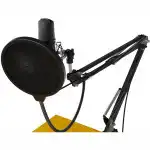 Микрофон Ritmix RDM-169 USB Black
