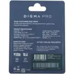 Внутренний жесткий диск Digma Pro Top P6 DGPST5001TP6T4 (SSD (твердотельные), 1 ТБ, M.2, PCIe)
