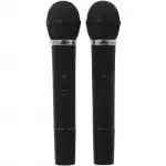 Микрофон Ritmix Микрофонный комплект RWM-210 черный RWM-210 Black