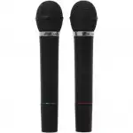 Микрофон Ritmix Микрофонный комплект RWM-210 черный RWM-210 Black