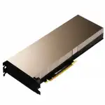 Видеокарта PNY TESLA A10 TCSA10M-PB (24 ГБ)