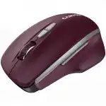 Мышь Canyon MW-21 CNS-CMSW21BR