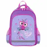 Сумка для ноутбука Пифагор School Owlet 229991 (13)