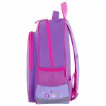 Сумка для ноутбука Пифагор School Owlet 229991 (13)