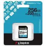 Флеш (Flash) карты Kingston Canvas Go Plus Gen4 C10 SDG4/256GB (256 ГБ)