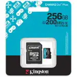 Флеш (Flash) карты Kingston Canvas Go! Plus SDCG4/256GB (256 ГБ)