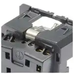 Розетка Legrand 067161