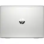 Ноутбук HP ProBook 445 G7 278B9EC (14 ", FHD 1920x1080 (16:9), Ryzen 5, 8 Гб, SSD)