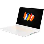 Ноутбук Acer ConceptD 3 Ezel CC315-72G NX.C5NER.001 (15.6 ", FHD 1920x1080 (16:9), Core i5, 16 Гб, SSD)