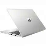 Ноутбук HP ProBook 455 G7 1L3H0EA (15.6 ", FHD 1920x1080 (16:9), Ryzen 7, 8 Гб, SSD)