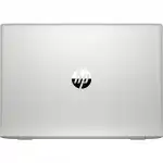 Ноутбук HP ProBook 455 G7 1L3H0EA (15.6 ", FHD 1920x1080 (16:9), Ryzen 7, 8 Гб, SSD)