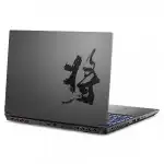 Ноутбук Colorful X15 AT 22-HD96016512A-B-SA A10003400097 (15.6 ", FHD 1920x1080 (16:9), Core i9, 16 Гб, SSD)