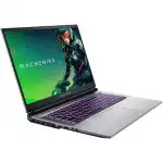 Ноутбук Machenike L17 Pulsar XT JJ00GD00ERU (17.3 ", FHD 1920x1080 (16:9), Core i7, 16 Гб, SSD)